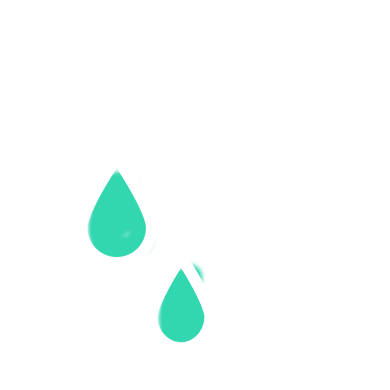 Carbon Dioxide, Water and Biomass